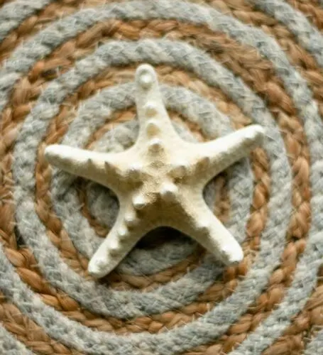 Appartement Chic&cozy In *